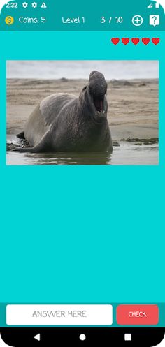 Guess Animal Name - Screenshot 4