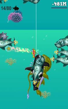 Hunting And Fishing - Screenshot 1