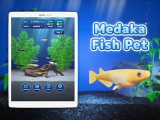 Medaka Pet - Screenshot 2