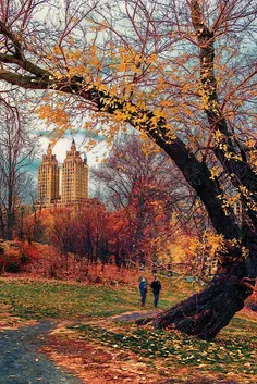 Jigsaw Puzzles Real Jigsaws - Screenshot 4