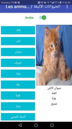 Les animaux domestiques - Screenshot 3