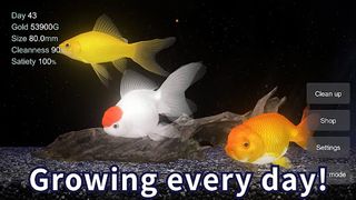 Goldfish 3D Relaxing Aquarium - Screenshot 3