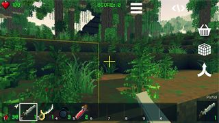 PIRATECRAFT - Screenshot 1