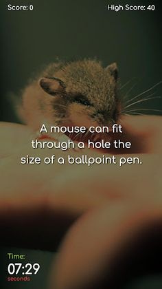 True or False | Quiz game with - Screenshot 3