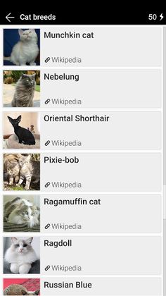 Cat breeds - Photo Quiz - Screenshot 3