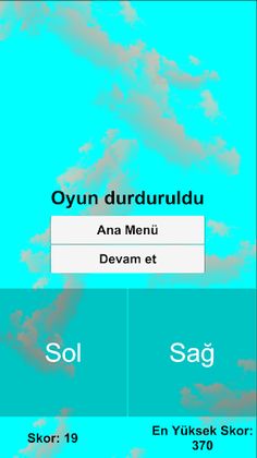 Bayrak Kaşifi - Screenshot 3