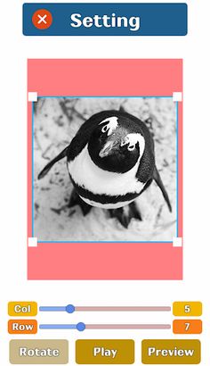 Animal Slide Puzzles - Screenshot 1