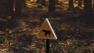 BearAttack - Screenshot 2