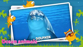 Animal flashcard & sounds - Screenshot 3