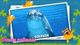 Animal flashcard & sounds - Screenshot 3