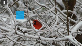 Found It! Kids - Screenshot 3