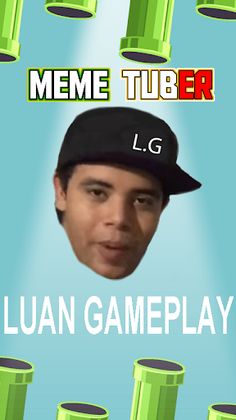 Flappy Pimba - Screenshot 1