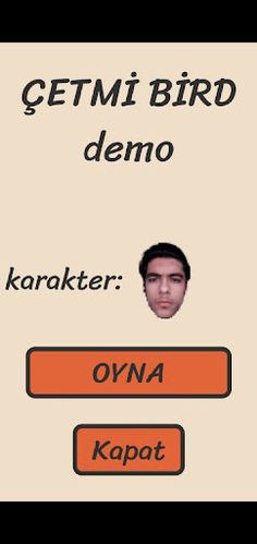 Çetmi Bird - Screenshot 1