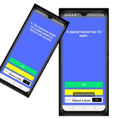 True And False Quiz Game - Screenshot 2