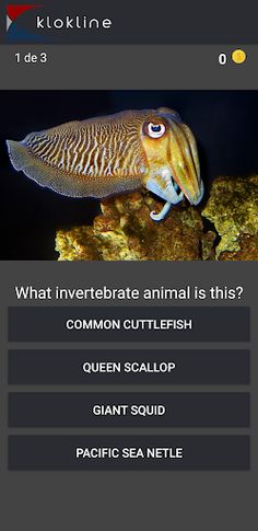 60 Invertebrates Challenge - Screenshot 2