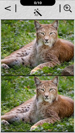 Игра найди отличия в картинках - Screenshot 3