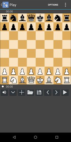 Chess Master Game Application - Screenshot 2