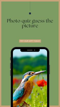 photo quiz guess the image - Screenshot 1