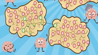 Entrena tu mente - Screenshot 2