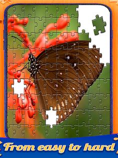 Butterfly jigsaw puzzle - Screenshot 3