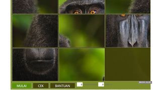 Puzzle Satwa Dilindung - Screenshot 1