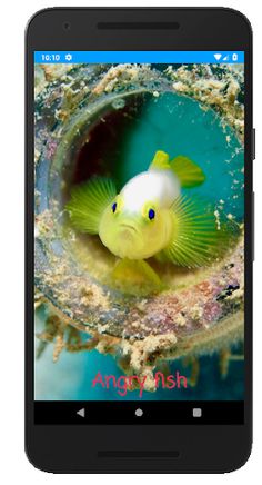 Rembo Angry Fish - Screenshot 3