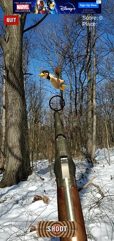 Duck ShootAR - Screenshot 3