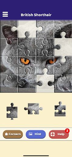 British Shorthair Puzzle - Screenshot 2