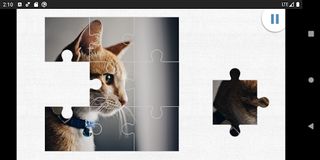 Cat Jigsaw Puzzle - Screenshot 1