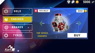 Kart Life - Screenshot 3