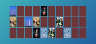 Two To Match - Screenshot 3