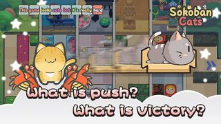 Sokoban Cats - Screenshot 1