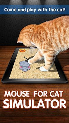 Mouse for Cat Simulator - Screenshot 1