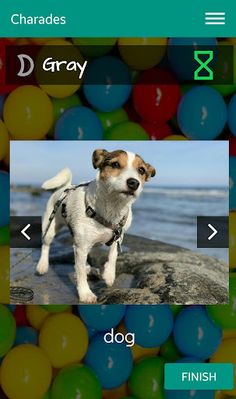 Charades - picture charades - Screenshot 4