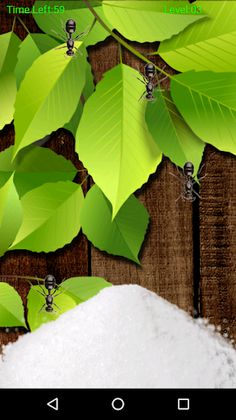 Ant Smasher- 2018 - Screenshot 4