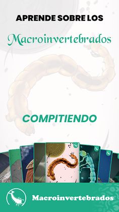 WWF Magdalena Salvaje - Screenshot 4