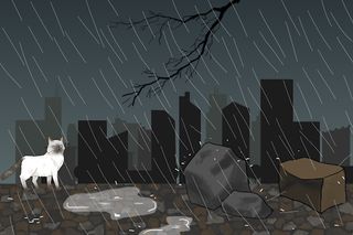 manee the cat - Screenshot 3