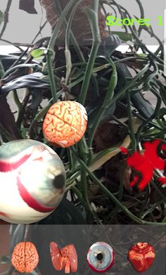 Organ Player - Screenshot 2