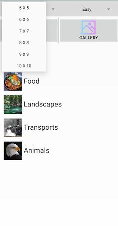 Picture Puzzle - Screenshot 4