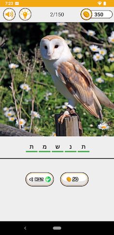 מה בתמונה - גלו מה מסתתר - Screenshot 2