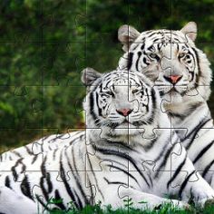 Tiger Jigsaw Puzzles  Games - Screenshot 4