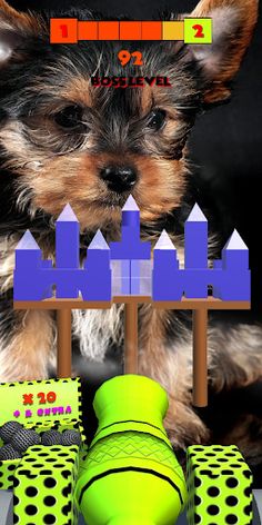 Dog Shooting Ball - Screenshot 3