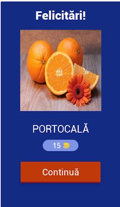 Ghici Ghicitel - Screenshot 2