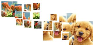 Puzzle - Hayvan Sesleri - Screenshot 1