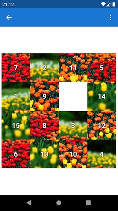 15 Photo Puzzle Mix - Screenshot 1