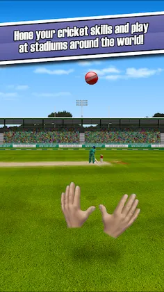New Star: Cricket - Screenshot 4