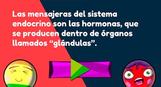 Rola Hormona - Screenshot 2