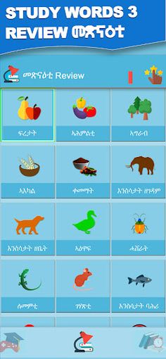 Word Learner ተማሃራይ ቃላት - Screenshot 2