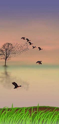 kbsDuck - Screenshot 3