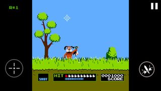 Duck Hunt - Screenshot 2